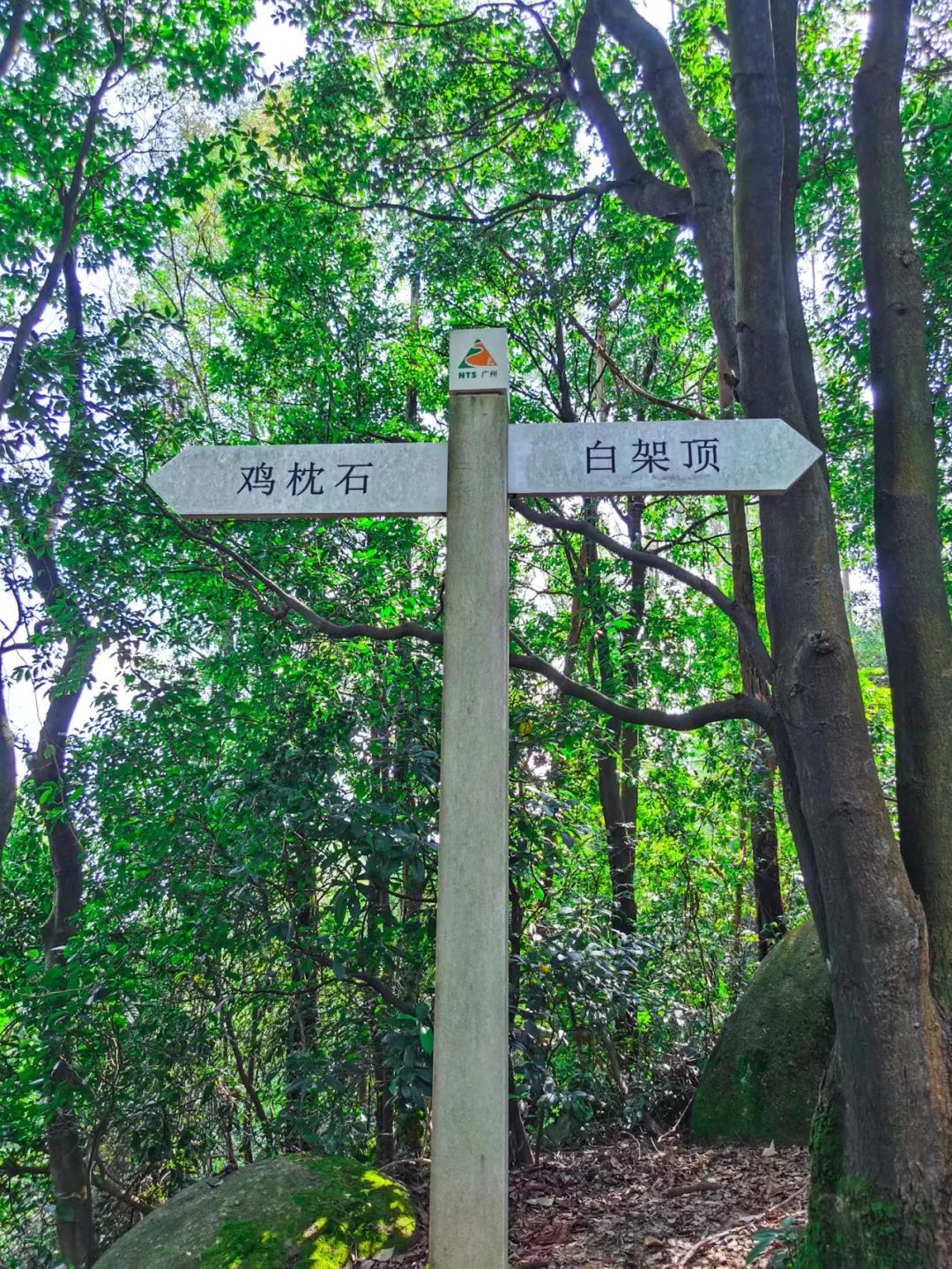 火炉山徒步登山路线图解,徒步中山铁炉山