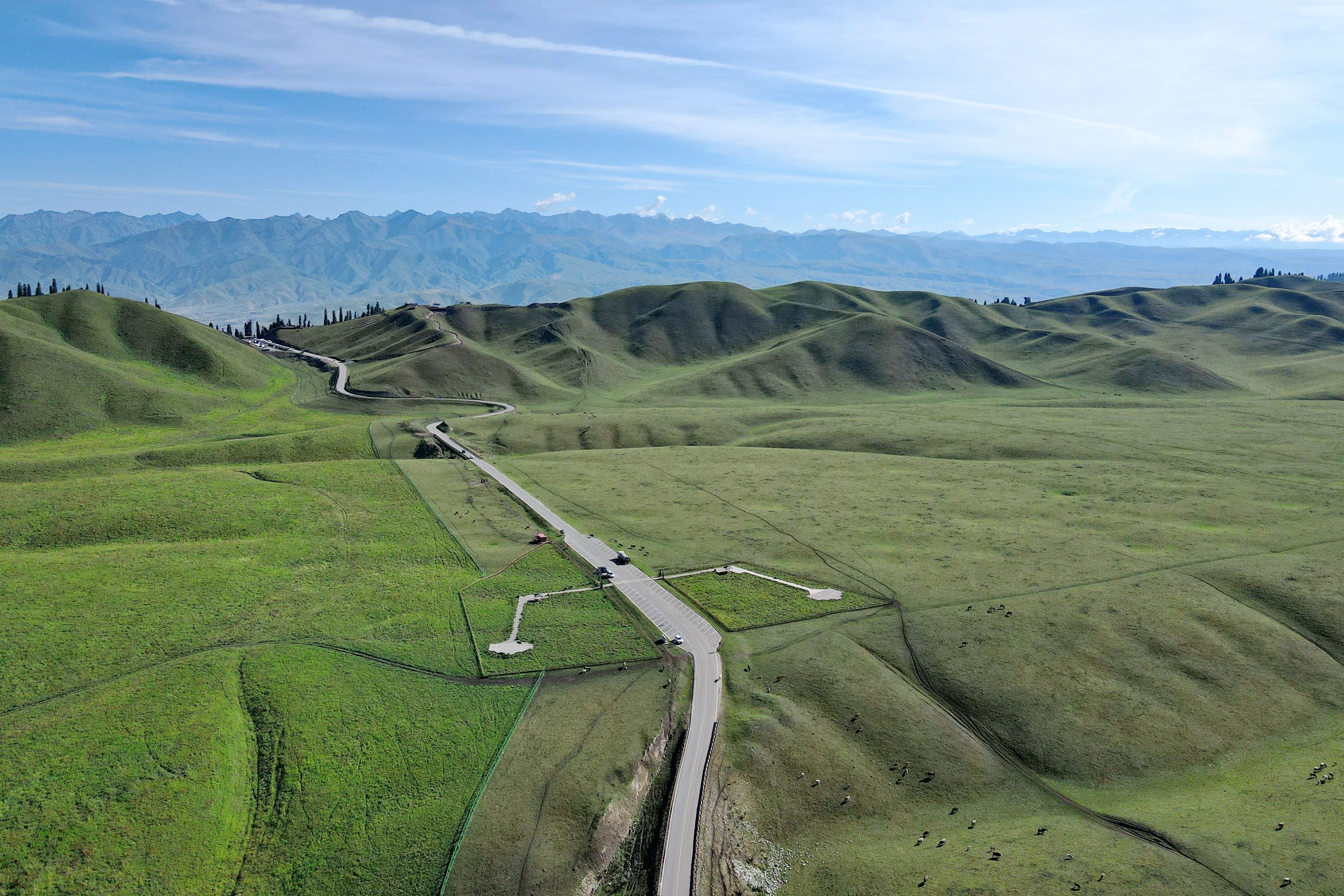 伊犁那拉提草原玩的有啥,伊犁那拉提草原是几级旅游景点