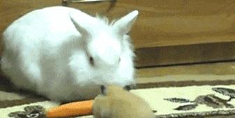 怎么样才能把馋你说的委婉一点,怎么把馋说得委婉一点