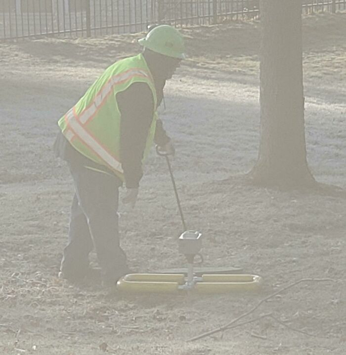鉴定网上的奇特生物,鉴定神秘生物视频
