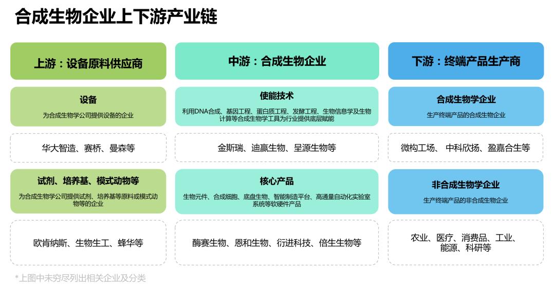 EBInsights发布合成生物新锐企业名单，盘点生物经济时代的新势力