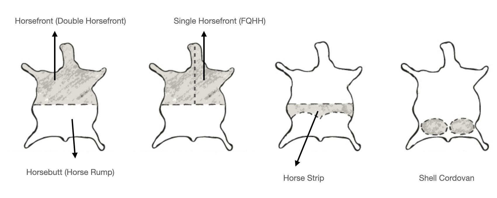 【建议收藏】图文并茂的鞋靴领域术语字典！