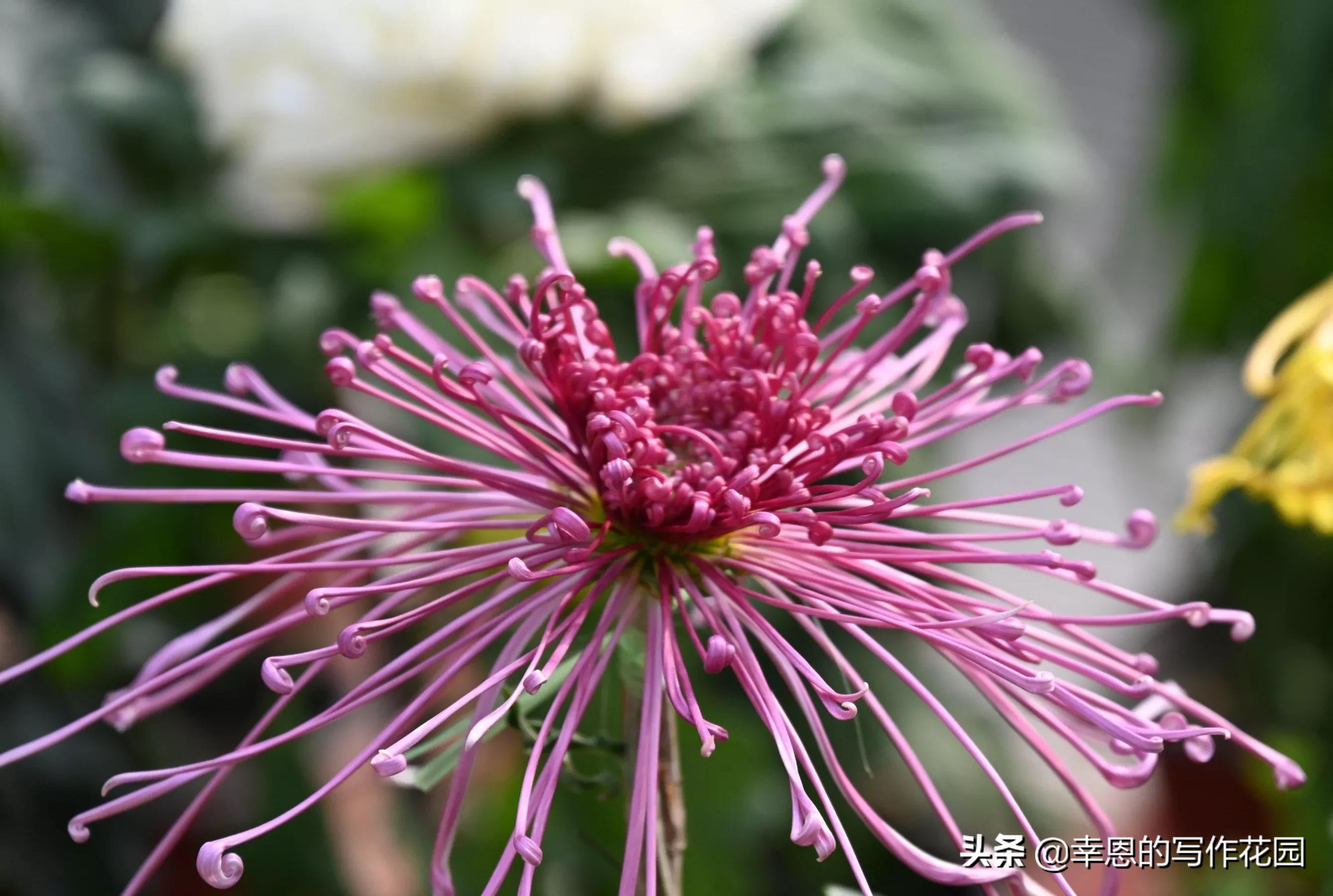 写文章结构思路,写文章的思路结构