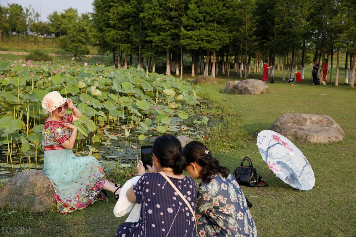 婆婆带她好多朋友来家里聚会,婆媳带着我们去旅游