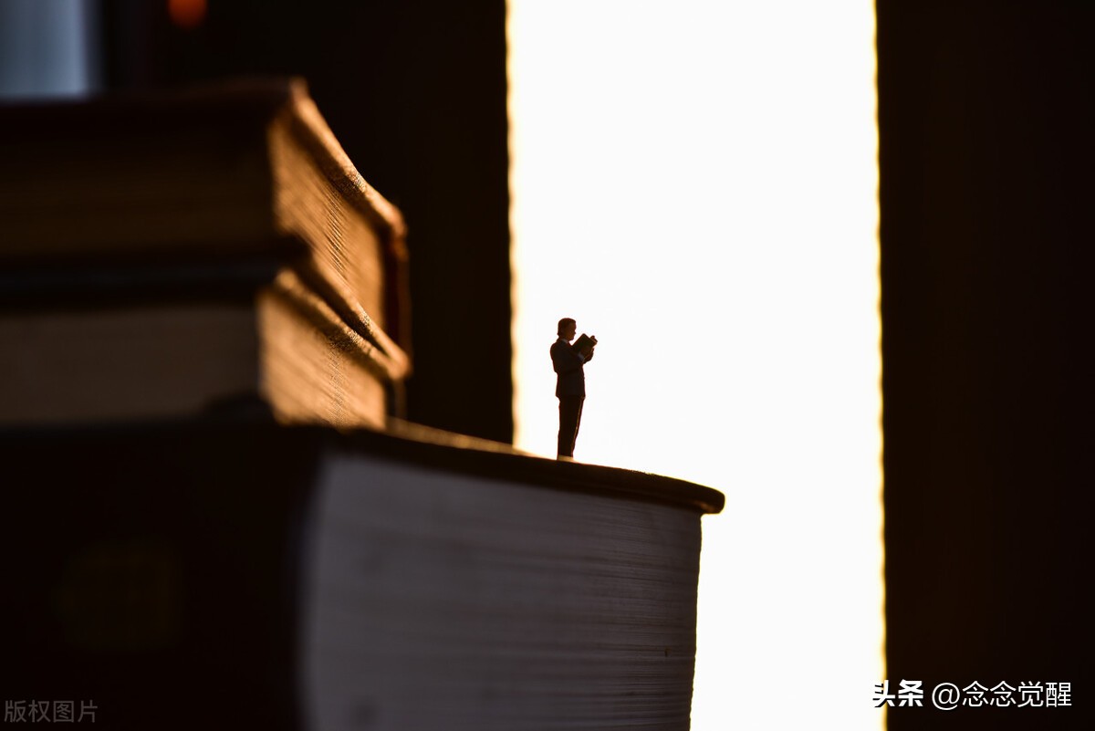 如何阅读一本书讲了什么,如何阅读一本书分析阅读层次