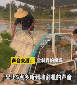 宁波9岁小学生超硬核！穿着足球服种田，网友赞不绝口！