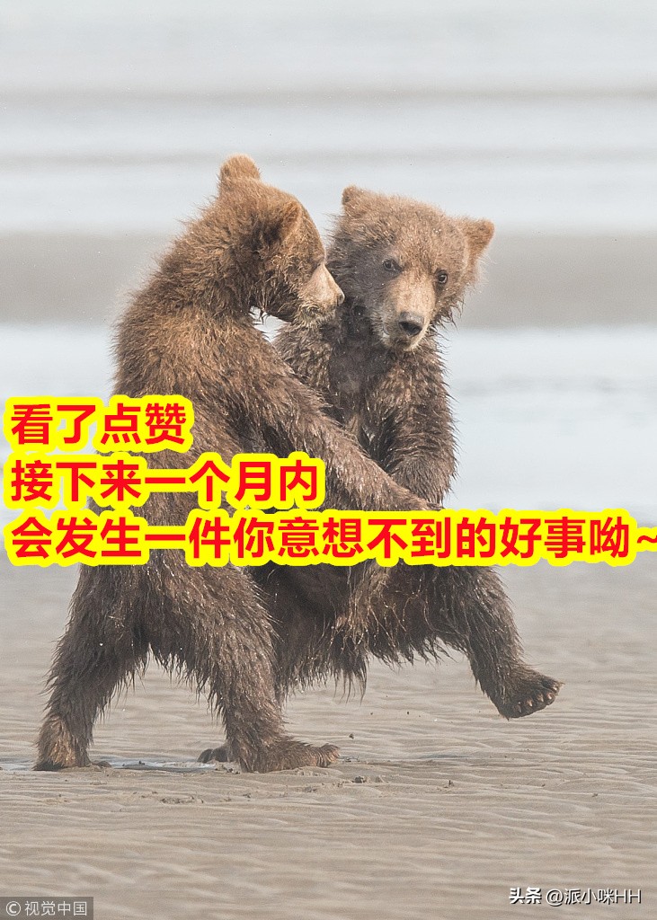 你觉得结婚和不结婚什么区别呢,你们觉得结婚和没结婚有什么区别