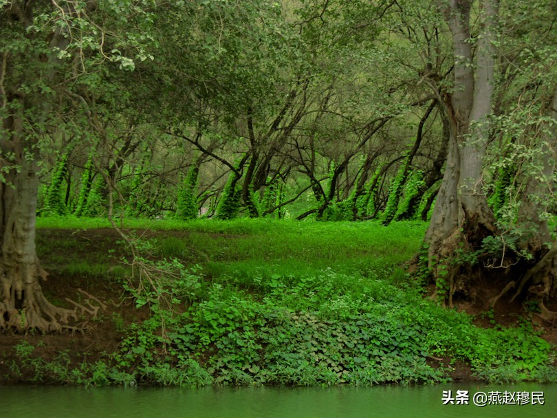 阿曼十大旅游景点排名榜,阿曼十大景点排名榜