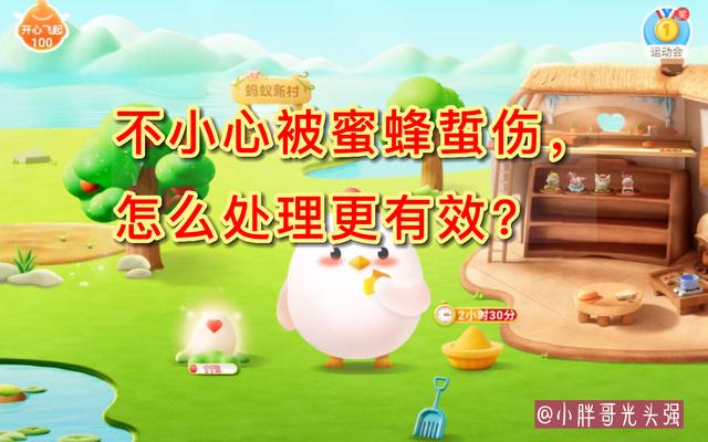 被蜜蜂蜇了怎么办安全教育,被蜜蜂蜇了找不到毒刺怎么办