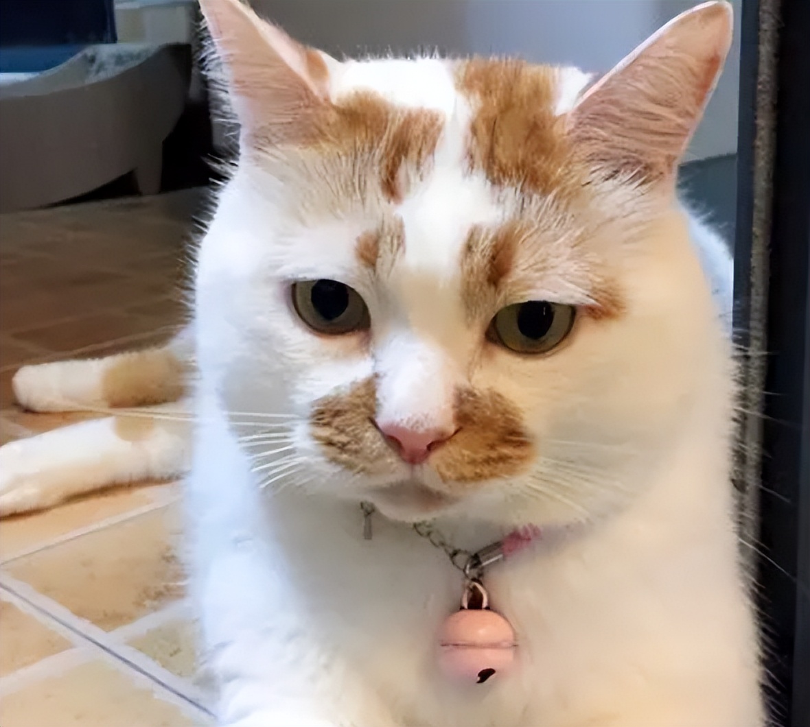 10年的湿疹终于找到了方法,终于摆脱了鼻炎的困扰