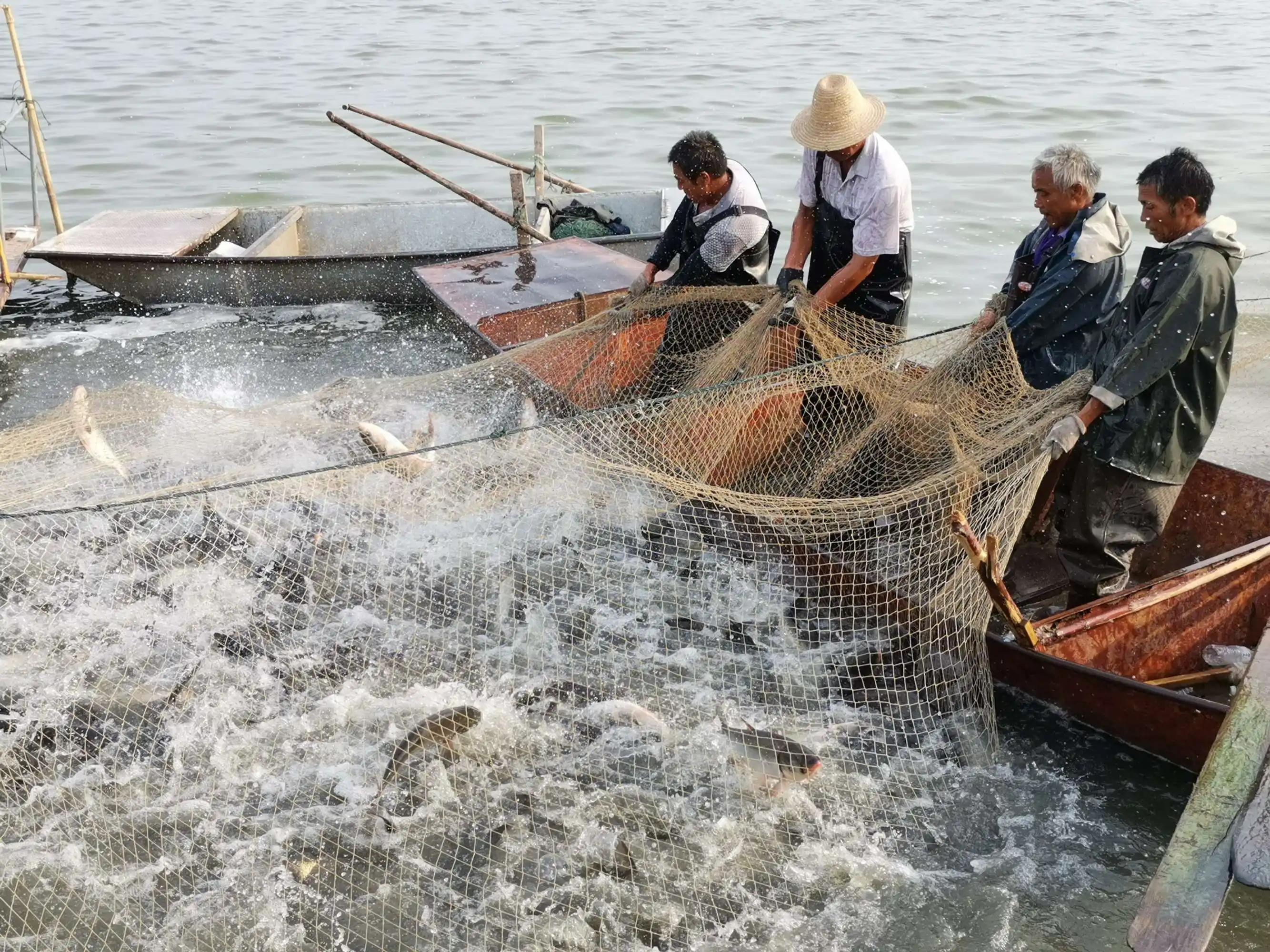 出国打工16年男子流落巴西街头,小伙流浪在外捕鱼