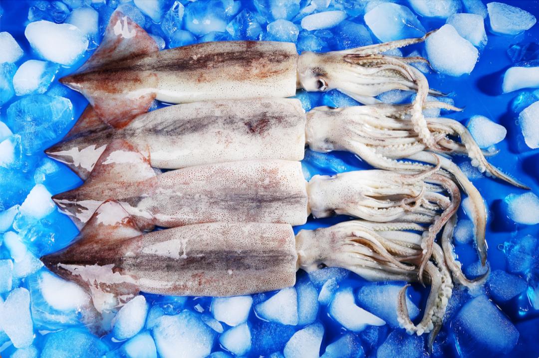 鎶ュ悕鎶栭煶鐢靛晢瀹樻柟娲诲姩濂藉,鐢宠鍔犲叆鎶栭煶鐢靛晢