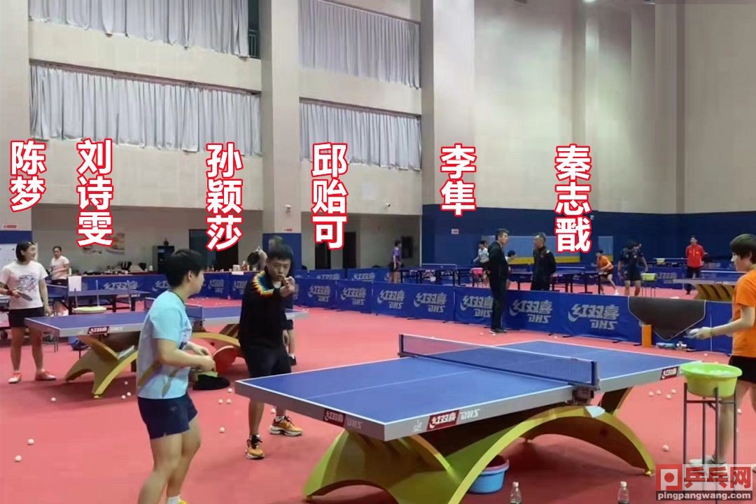 教练邱贻可谈孙颖莎,邱贻可樊振东场边教练