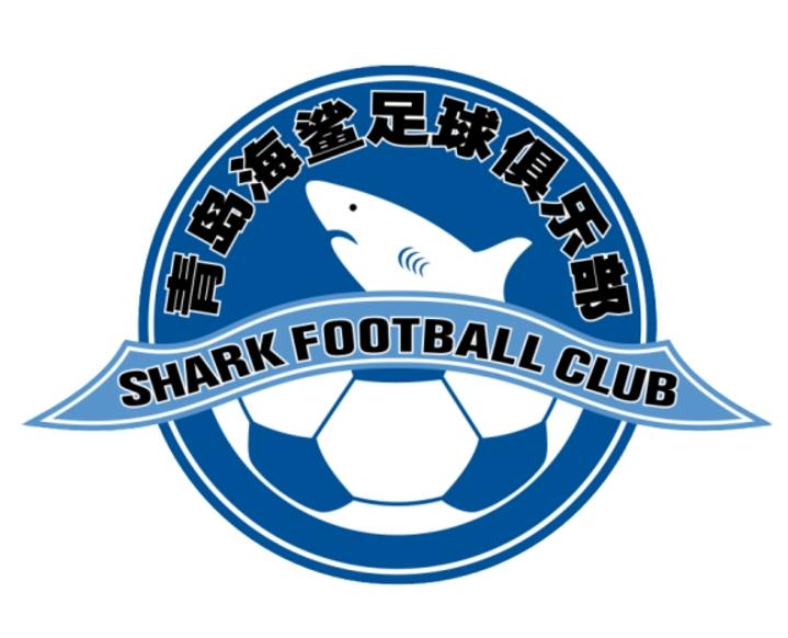 青岛中冠有几支球队,青岛巨星进军中冠联赛