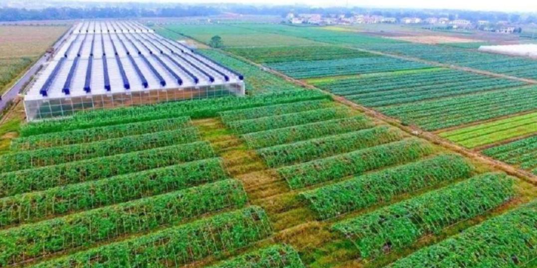 鏃ユ湰涓轰粈涔堝湪灞变笢绉熷湴,鏃ユ湰涓轰粈涔堝湪涓浗绉熷湴