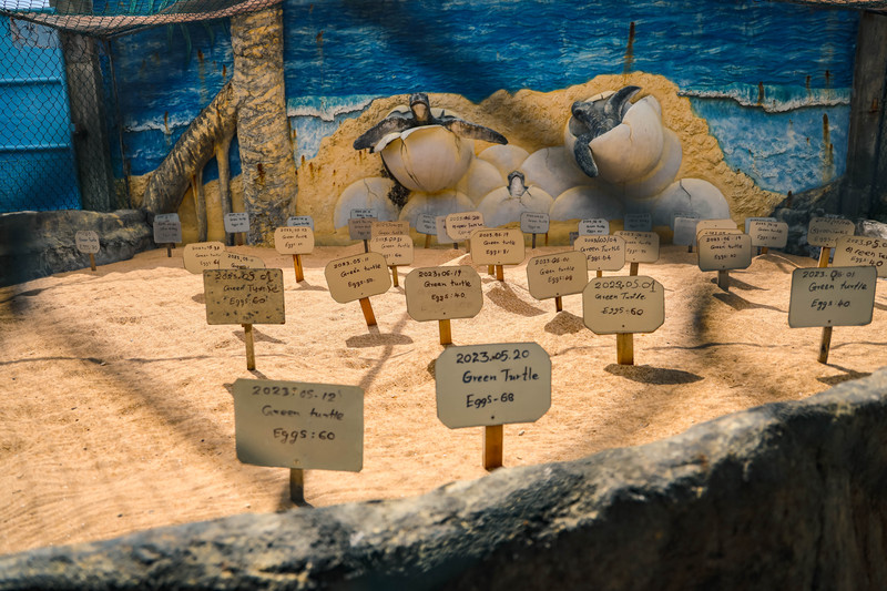 斯里兰卡旅游攻略必去景点,斯里兰卡旅游攻略最佳时间