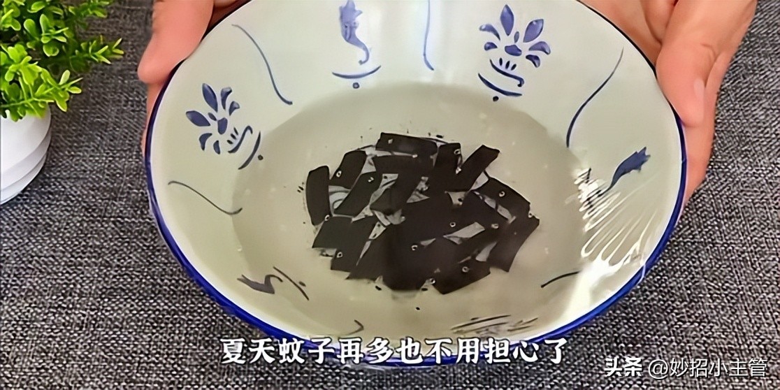 蚊香放水里泡一泡,蚊香放水里