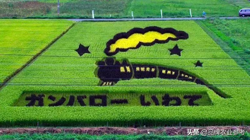 日本现代农业种植技术,日本精致农业的6个秘诀和8个案例