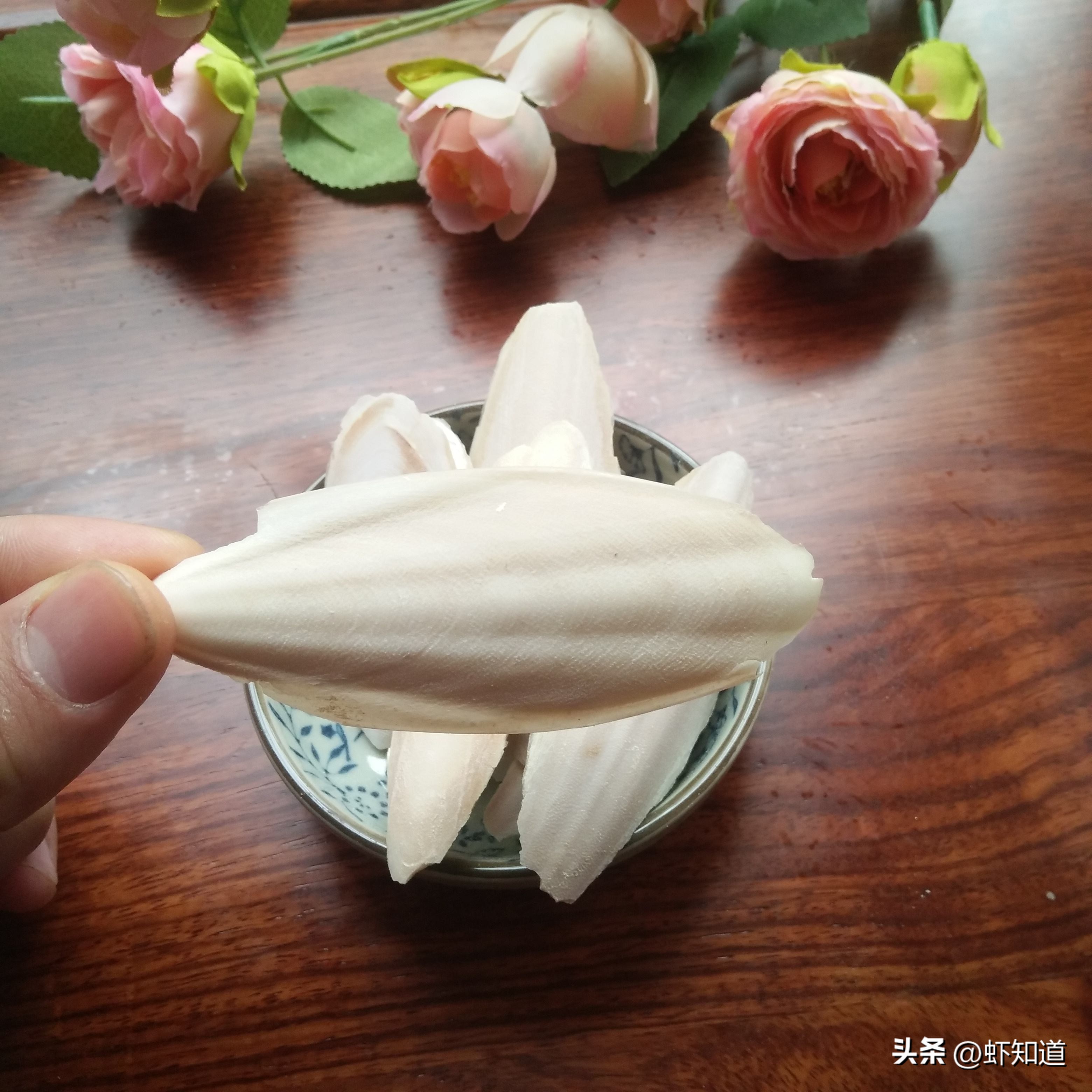 长蛸短蛸章鱼墨鱼鱿鱼有什么区别,八爪鱼章鱼鱿鱼墨鱼乌贼的区别