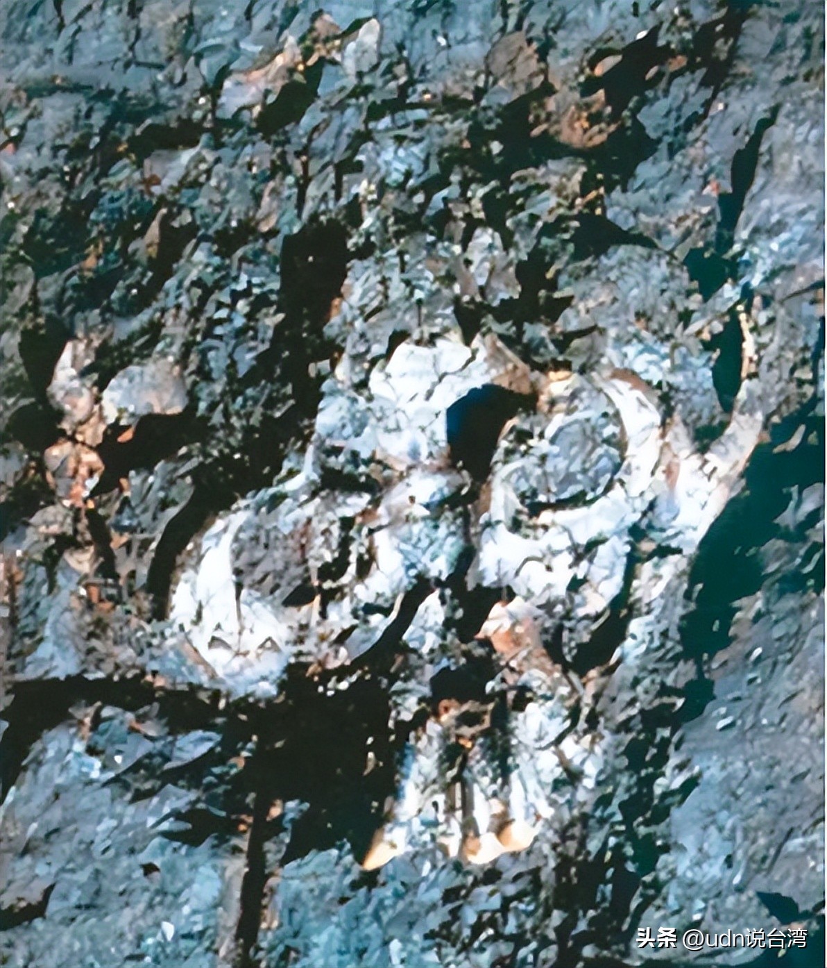 中国云南禄丰恐龙谷遗址,云南禄丰世界恐龙谷的化石