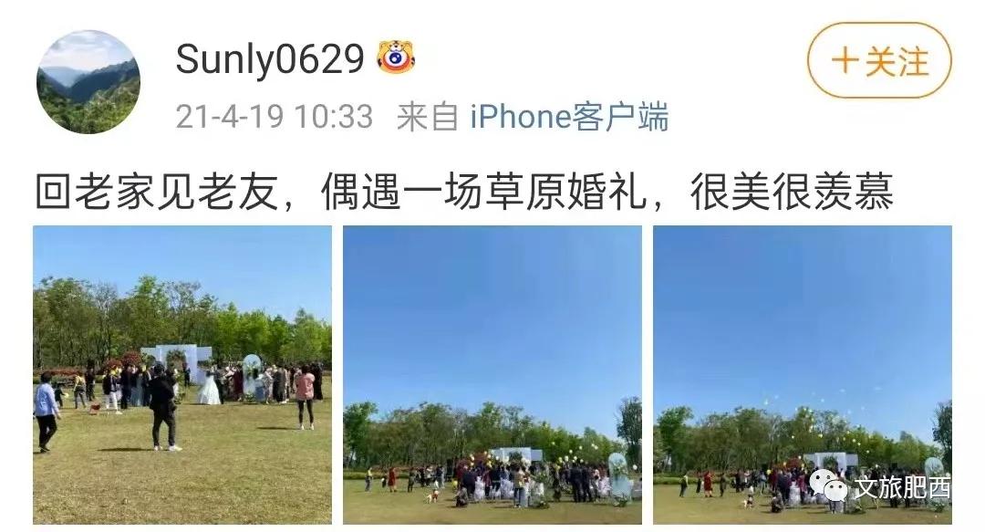 原来，在社交平台中，肥西的真实风景是这样的