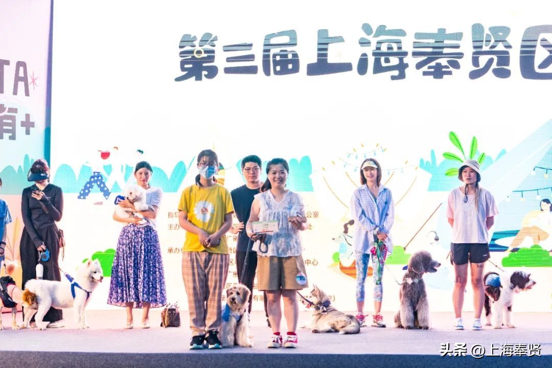 打造宠物社区,宠物友好型城市建设