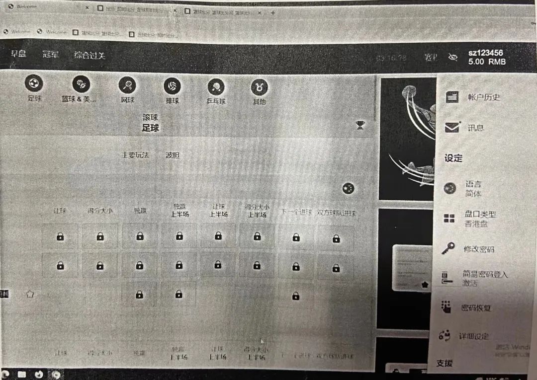 世界杯赌博被抓了怎么处罚,上海打击赌球