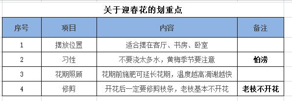 如何养迎春花,如何养好迎春花