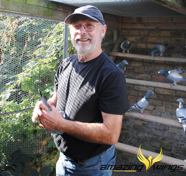 德国鸽界超级巨星迪欧亚普,图