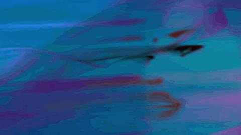 迪士尼美人鱼被网暴,美人鱼被黑得最惨一次