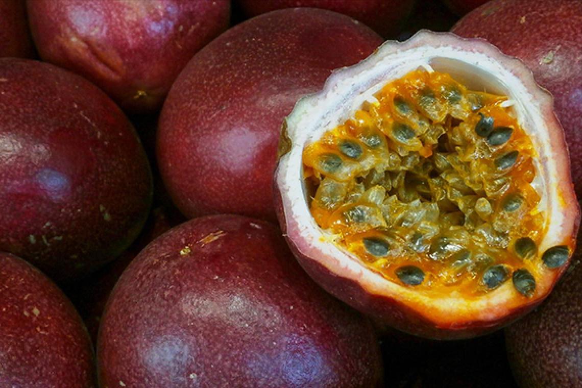 原产巴西的水果,巴西野生水果有哪些