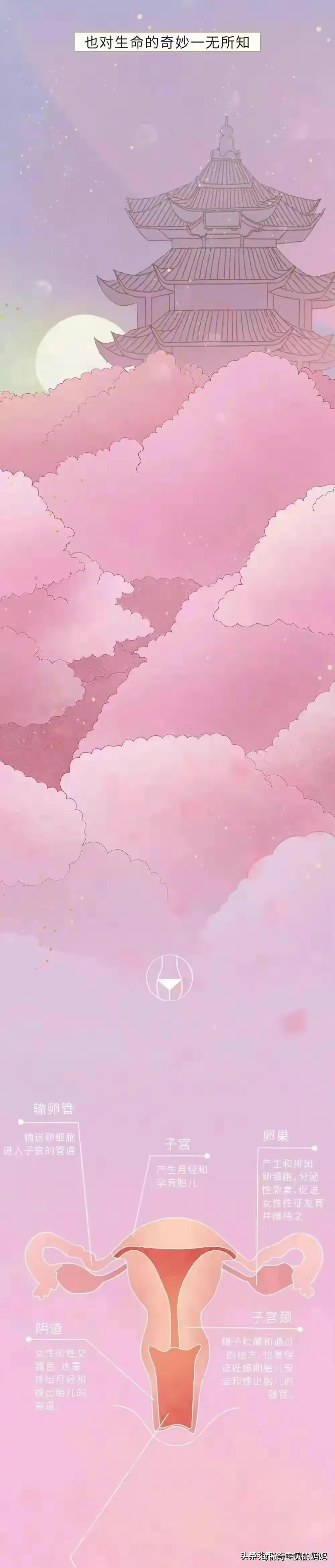 第一次*生活性**，需要了解哪些知识？漫画