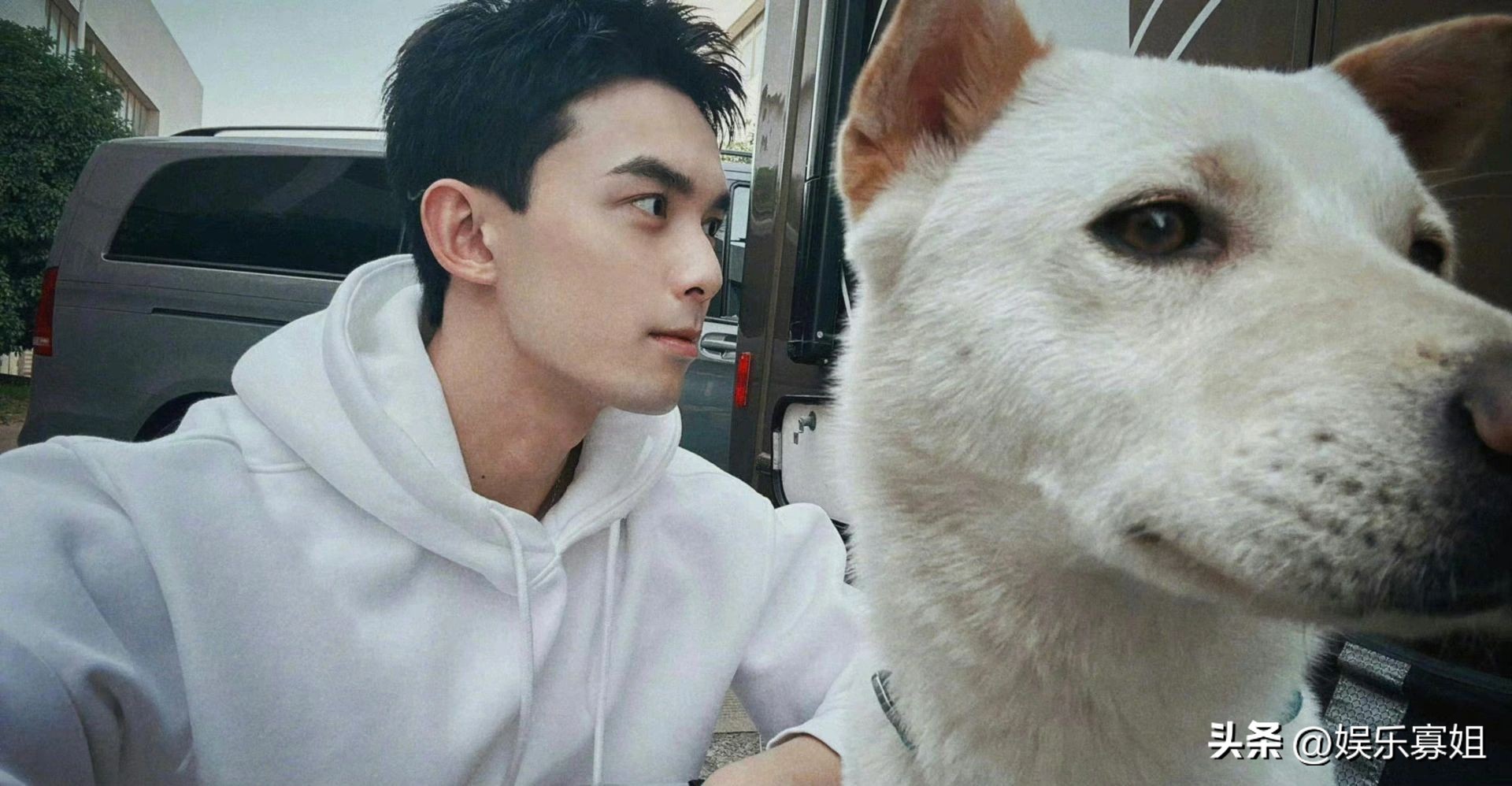 顾漫骄阳似我电视剧,顾漫骄阳似我电视剧会拍吗