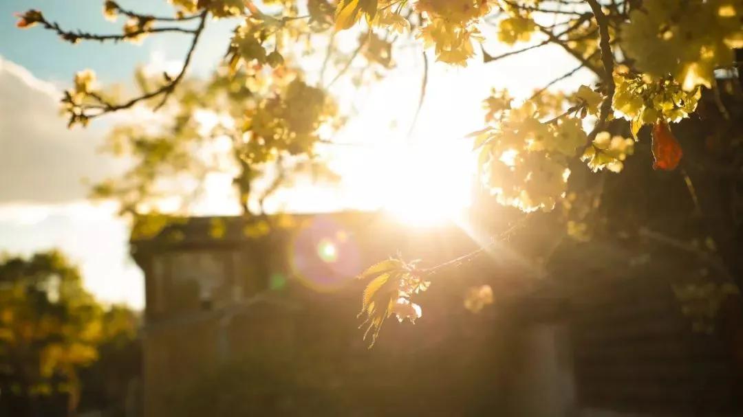 如何克服紧张情绪,如何克服紧张情绪视频