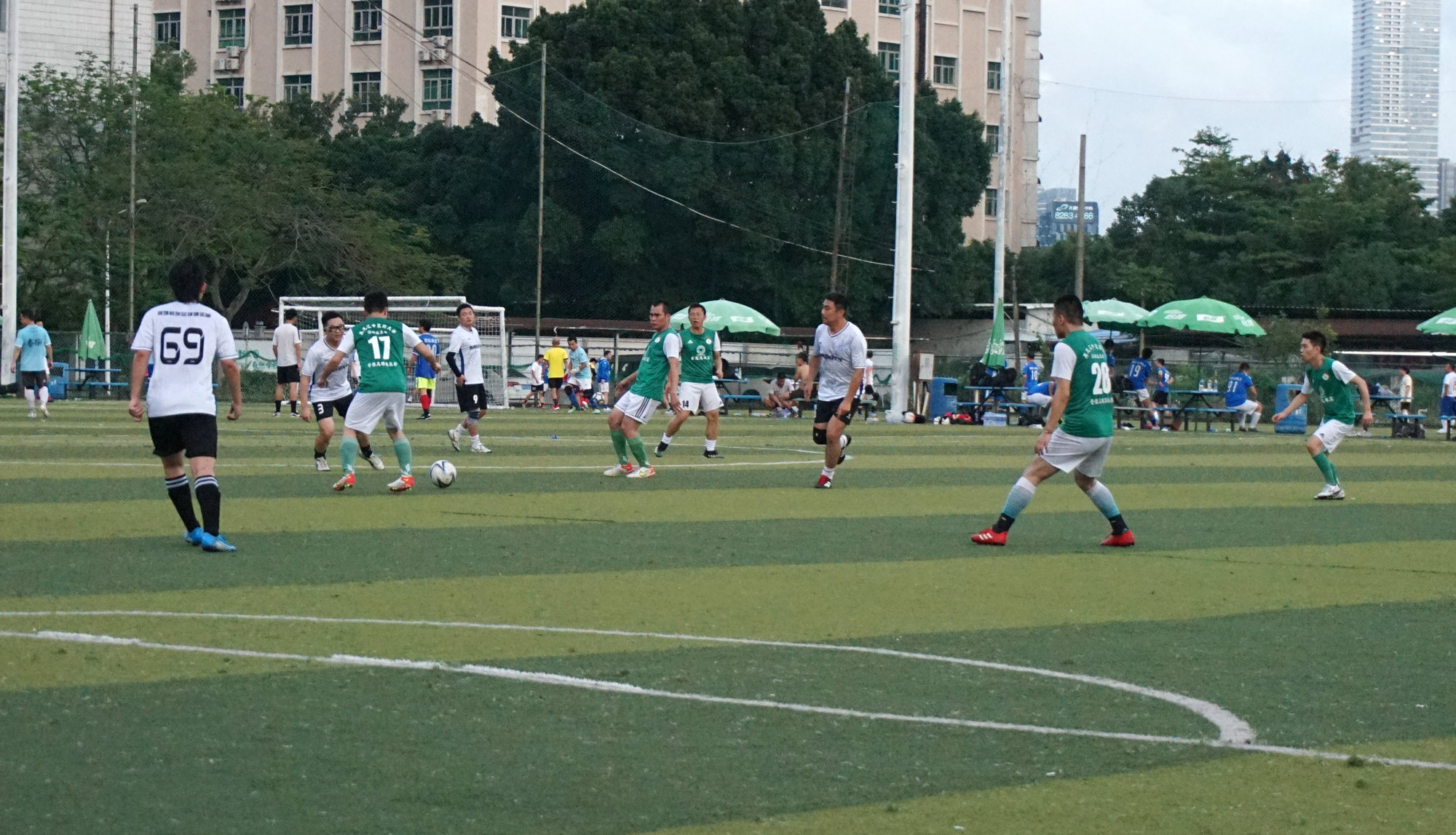 西南财大vs金强,苍狼vs老虎