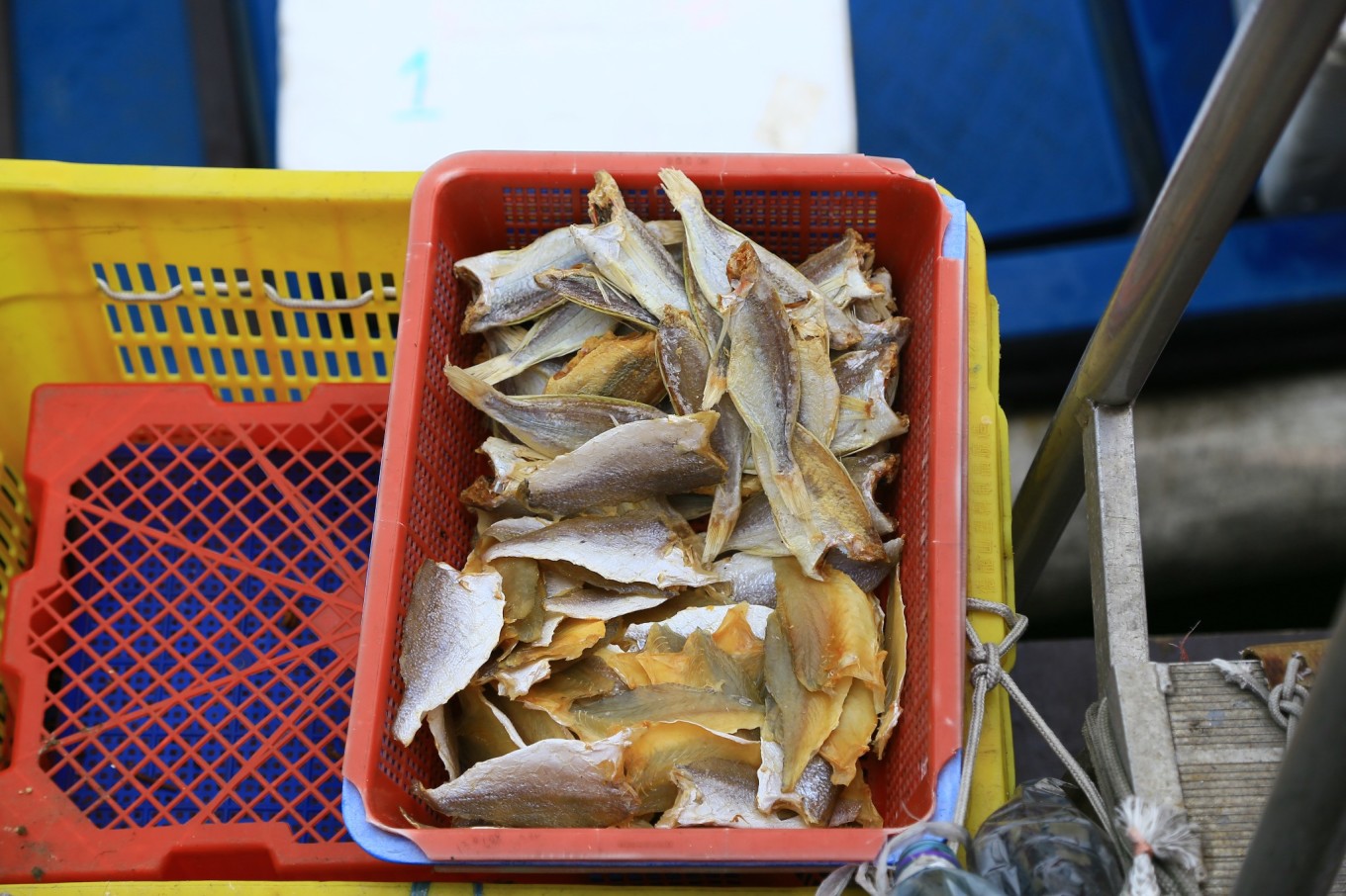 第一次去香港哪里打卡,第一次去香港玩必去的景点