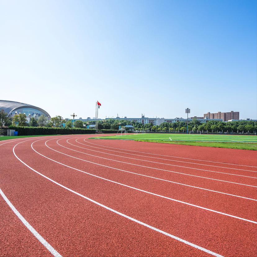 体育场塑胶跑道品牌,体育场塑胶跑道多少钱