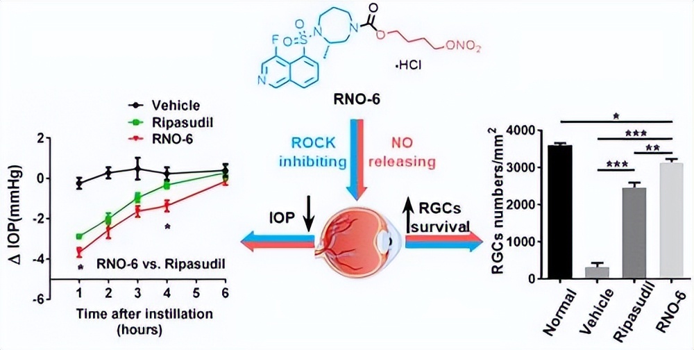 rho激酶抑制剂多少钱,rho激酶抑制剂是什么