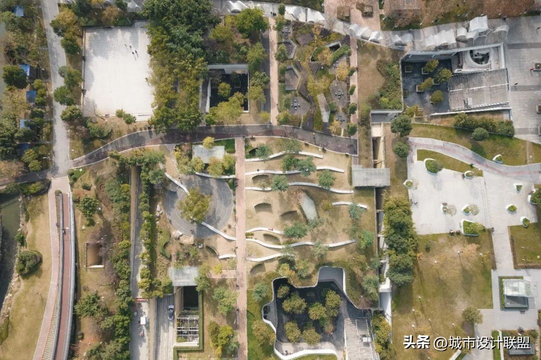 成都值得一游的公园,夏季成都宝藏公园