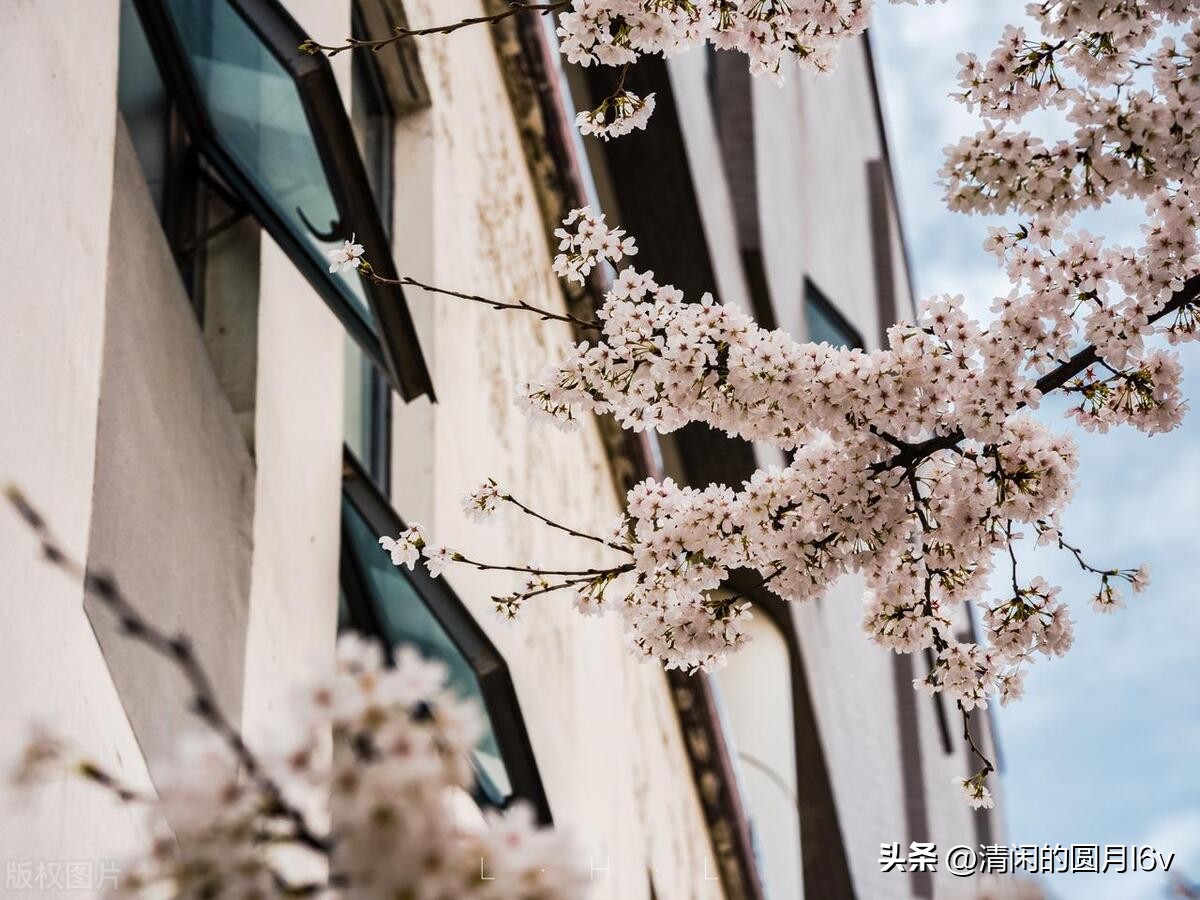安徽建筑大学函授,安徽建筑大学官网