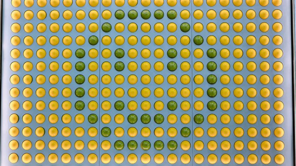 全球首家笑脸奶茶，来朝悦了