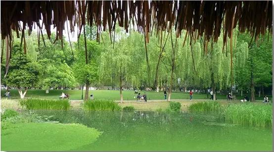 杭州好玩的地方和景点排行榜,杭州周边好玩的地方景点免费