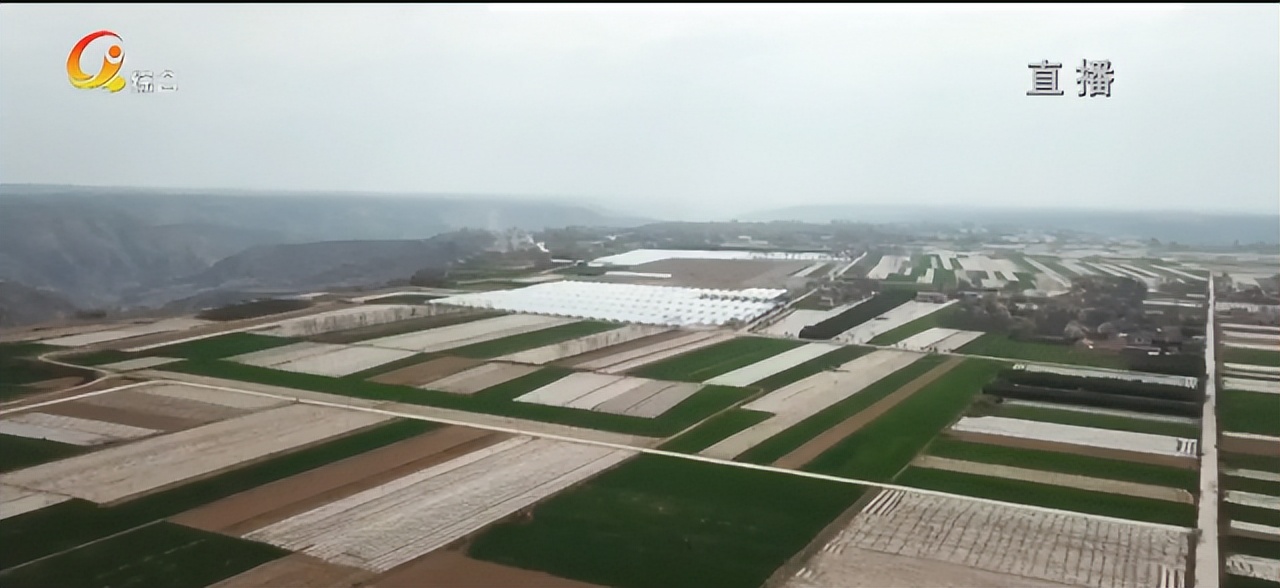 你好，庆阳！新闻早点到「2022年12月8日」