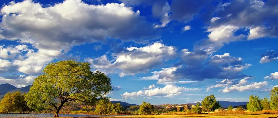 奇正藏药的前景,奇正藏药高管最新消息