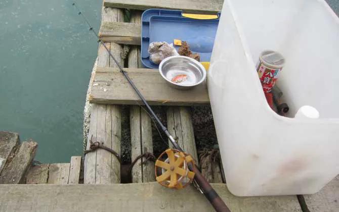 桥筏钓鱼入门教学完整版,桥筏钓鱼基础入门及技巧