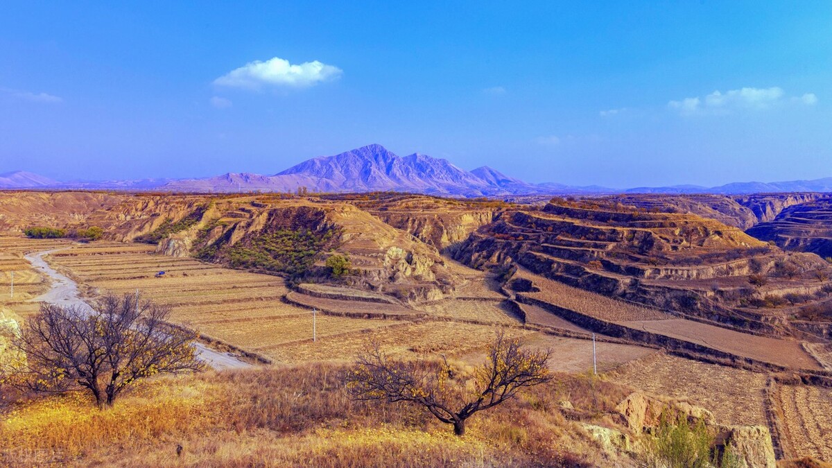 鄂尔多斯什么时候发现铀矿,鄂尔多斯盆地砂岩型铀矿
