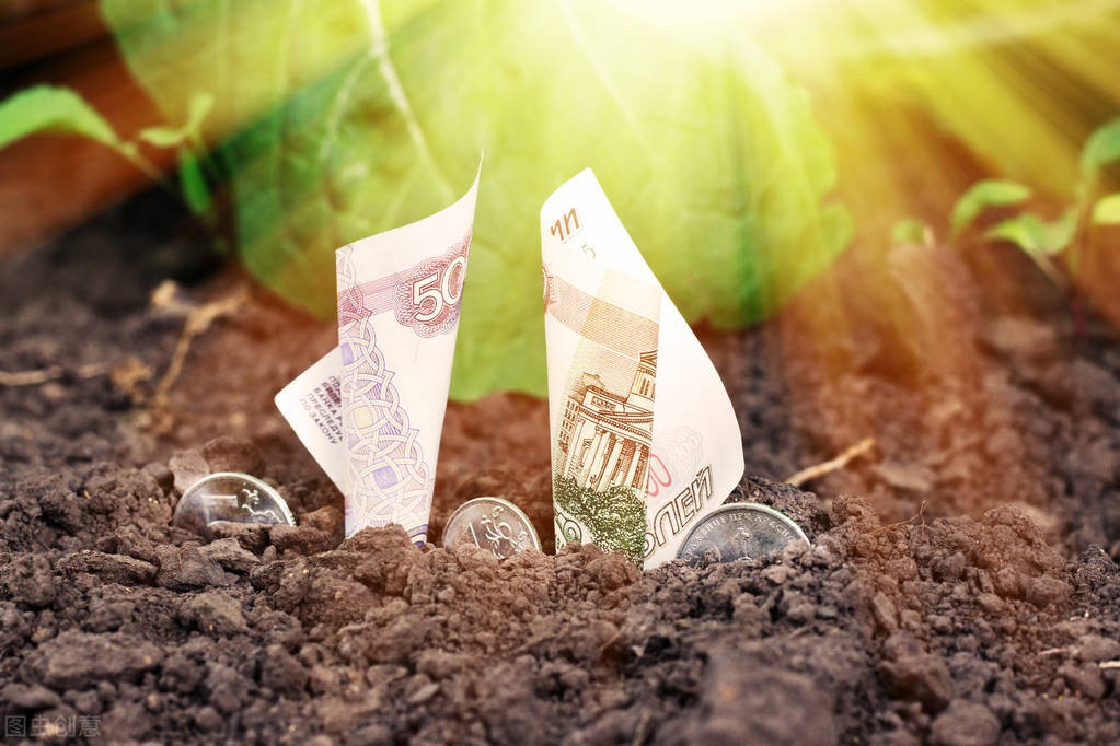 专访中启资本：农业的机会永远存在，投资创业都需要保持敬畏之心