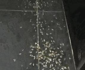 多地公安提醒短信,多地提醒