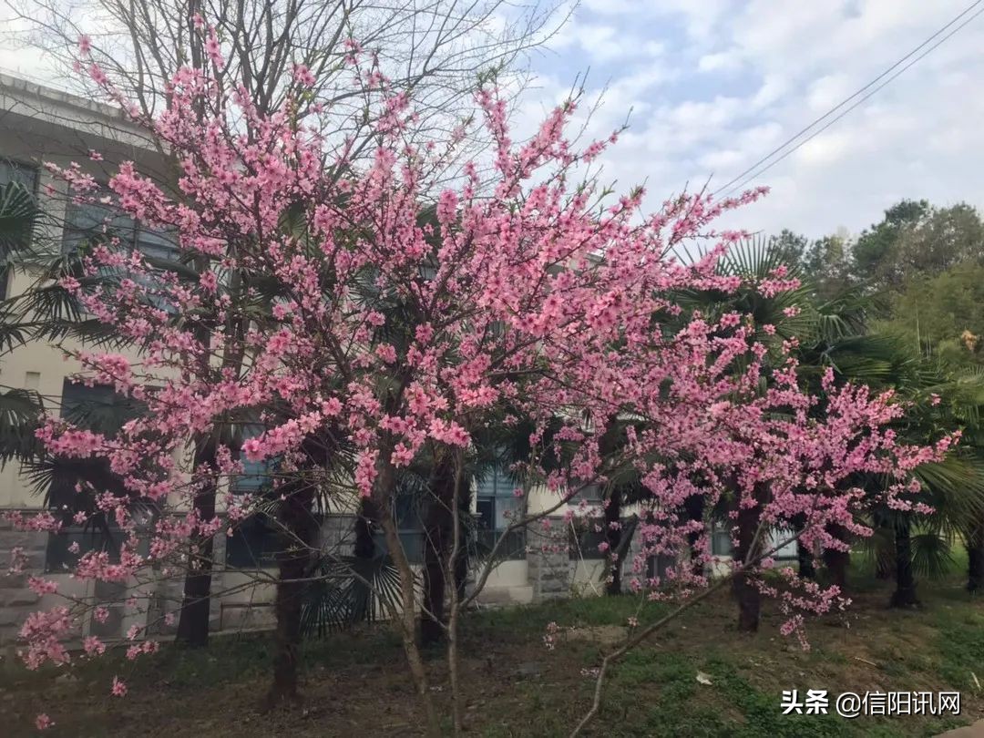信阳航空职业学院南湾校区项目,信阳航空职业学院就业前景如何