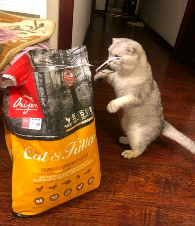 线上超市过年囤货,线上线下囤年货活动